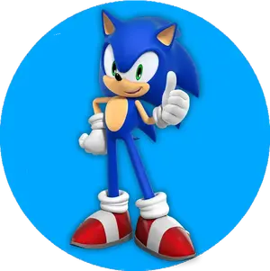 poa avatar sonic